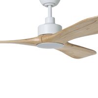 CURRUMBIN 20w CCT Dimmable Ceiling Fan Light