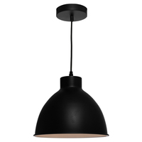 DOME 1lt Metal Flex Pendant