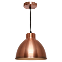 DOME 1lt Metal Flex Pendant