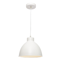 DOME 1lt Metal Flex Pendant