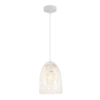 ESCAMA 1lt Iron Cage Ellipse Pendant