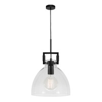 JEAN 1lt Clear Glass Metal Flex Pendant 