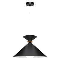 JULIA 1lt Large Metal Flex Pendant 