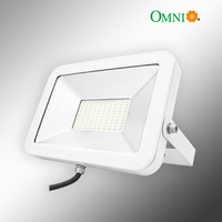 20w LED IP65 Lite Floodlight