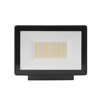 OPAL 1lt 30w Tricolour IP65 LED Floodlight