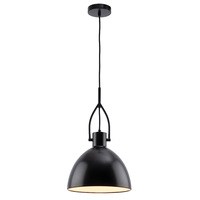 TERRENCE 1lt 40w 300mm Metal Flex Pendant