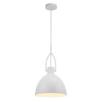 TERRENCE 1lt 40w 300mm Metal Flex Pendant