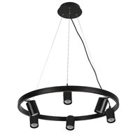 PANO 6lt Adjustable Spotlight Pendant