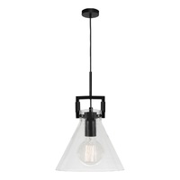 PIERRE 1lt Clear Glass Metal Flex Pendant 