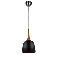 POLK 1lt 20cm Metal Flex Pendant