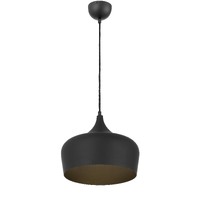 POLK 1lt 30cm Metal Flex Pendant