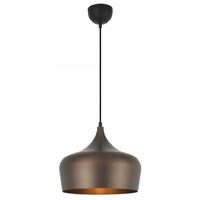 POLK 1lt 30cm Metal Flex Pendant