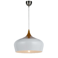 POLK 1lt 46cm Metal Flex Pendant