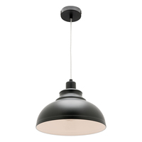 RISTO 1lt Metal Flex Pendant