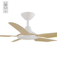 STORM 1067mm 18w CCT LED DC ABS 5 Blade Ceiling Fan with Remote